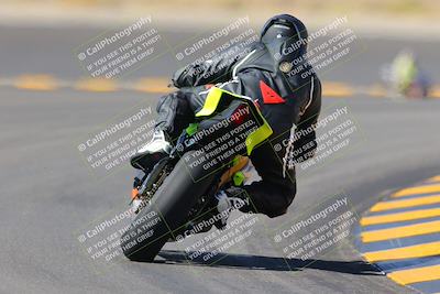 media/Oct-08-2022-SoCal Trackdays (Sat) [[1fc3beec89]]/Turn 11 Backside (1145am)/